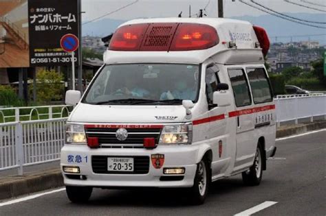 日本天皇仪仗车队路上遭遇救护车，德仁夫妇亲自示范了一堂交通法规课