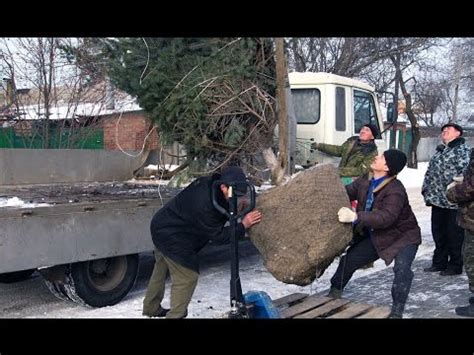 перевозка саженцев по России СНГ - YouTube