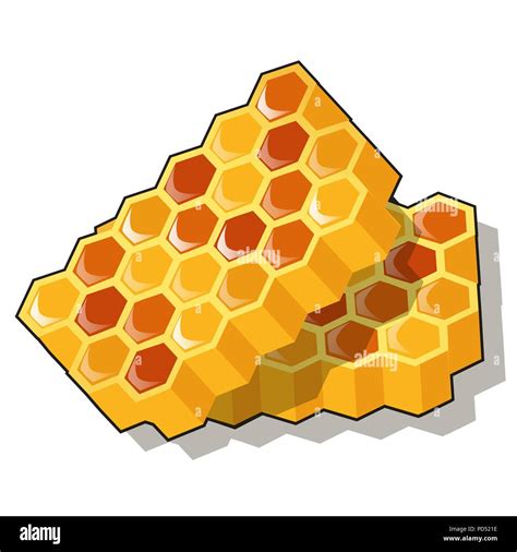 Honeycomb Cartoon