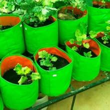 DIYAGREEN Grow Bags for Plants Big Size Terrace Balcony Gardening ...