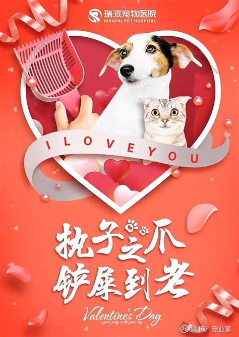 宠物节快乐公益宣传海报