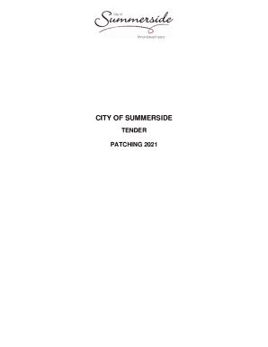 Fillable Online CITY OF SUMMERSIDE Fax Email Print - pdfFiller
