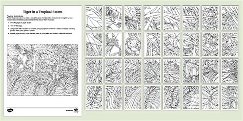 Tiger in a Tropical Storm Mindfulness Collaborative Art Resource Pack