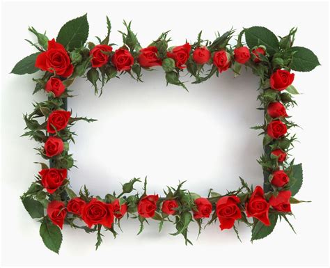 Floral Frame Images | Free Floral Frame Images – HJJPNS