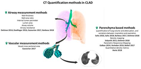 Chronic Lung Allograft Dysfunction Post Lung Transplantation: A Review ...