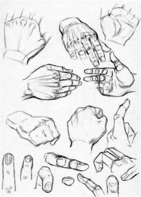 Image result for Hand Reference Drawing Tips