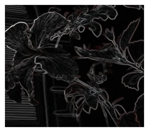 Nature Undefined Edge 的图像结果