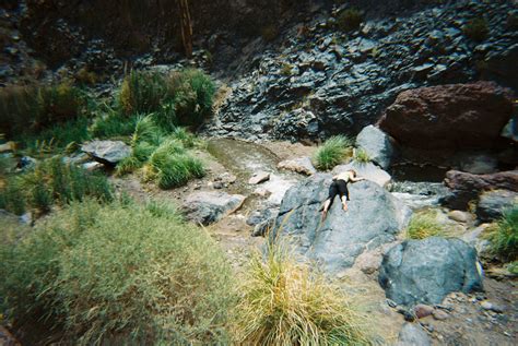 TIERRA/CURA — Wilhelmina Ojanen