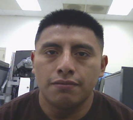 ICE Houston operation results in 42 arrests, including criminal alien ...