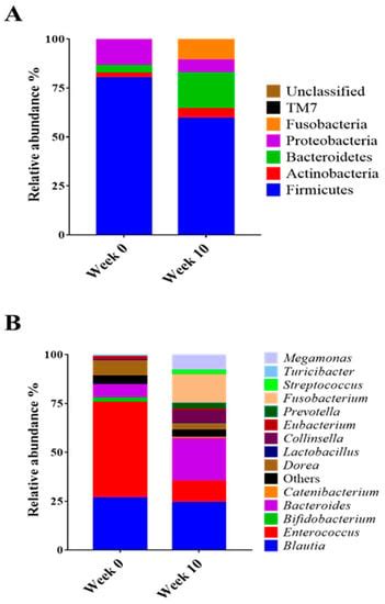 Effects of Synbiotic Preparation Containing Lactobacillus gasseri BNR17 ...