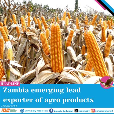 LUSAKA Chamber of Commerce and Industry (LCCI) says Zambia continues to emerge as a leading ...