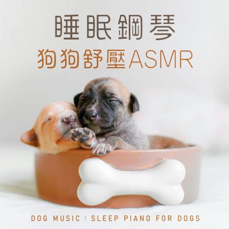 不久 (Soon) - 睡眠寵物音樂．貓咪狗狗乖乖睡 - 睡眠鋼琴．狗狗舒壓ASMR (Dog Music：Sleep Piano for ...