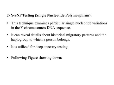Y Chromosome & DNA Testing in Forensic Science.pptx