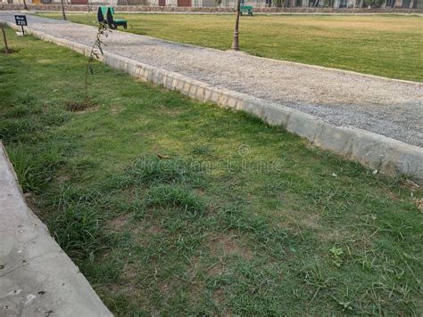 Walk Path 的图像结果