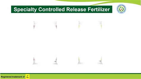 Slow and Controlled Release Fertilizers - Basacote Plus 12M Fertilizers ...