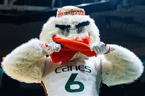 University Of Miami Ibis Logo University Of Miami Sebastian The Ibis I