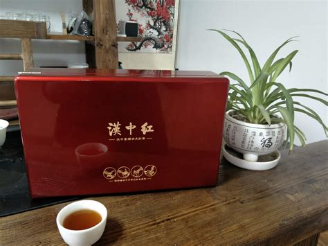 百典茶社-陕西百典教育科技有限公司