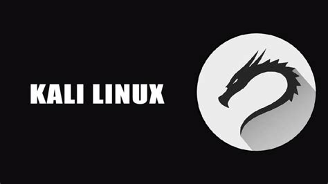 Kali Linux File Download 的图像结果