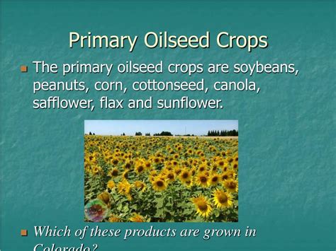 Crops 的图像结果