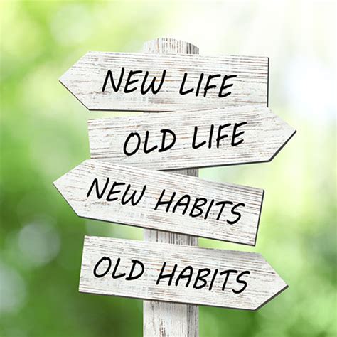 LDS 12 Step Program 的图像结果