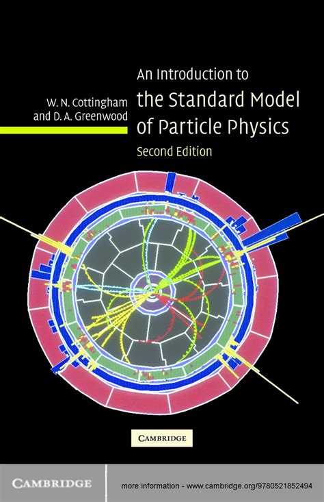 Standard Model 的图像结果
