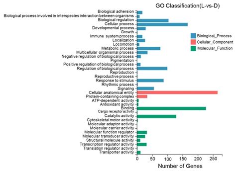 Comparative Transcriptome Analysis of the Skin and the Peritoneal Wall ...