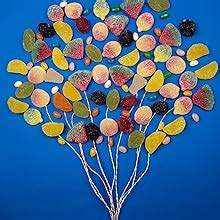 House of Candy Gummy Bear – Animal Shaped Candy w/Gummy Coating, Jelly ...