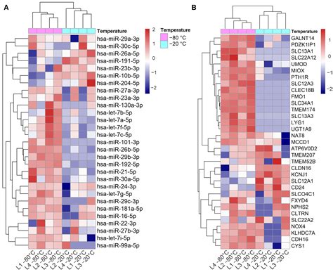 Capturing the Kidney Transcriptome by Urinary Extracellular Vesicles ...