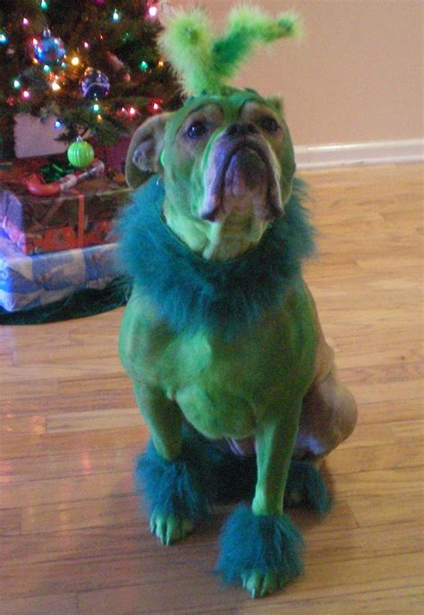 Grinch Dog Costume
