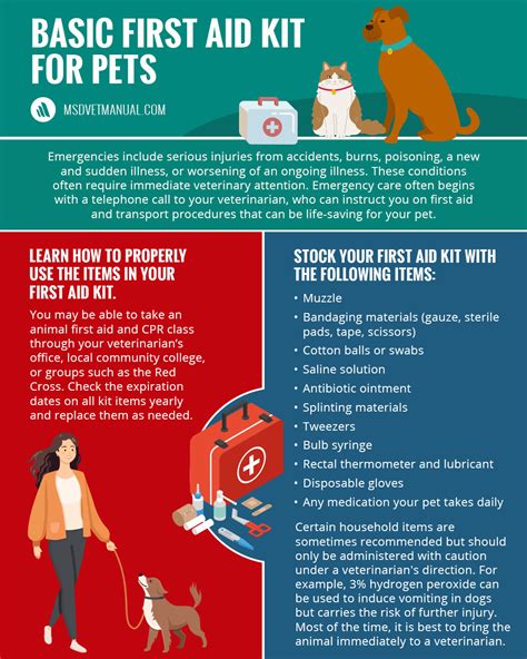 Image result for Basic First Aid for Pets