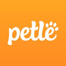 Image result for JavaScript Petle