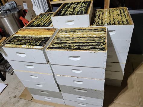 Buzz'n Bees Honey (@buzznbeeshoney) • Instagram photos and videos