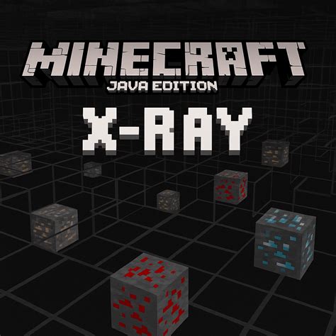 Image result for X-ray Hack for Minecraft Java Edition