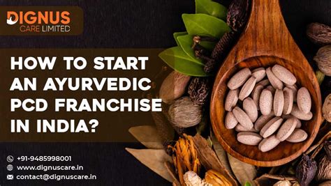 Guide To Selecting The Best Veterinary PCD Franchise in India