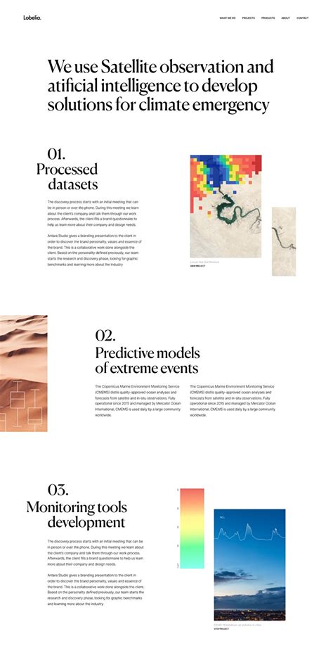 Lobelia Web design | Made by Plastic