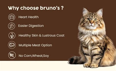 Brunos Cat Wet Food - Tuna with Whitefish - 85g (Pack of 6)| for Cats ...