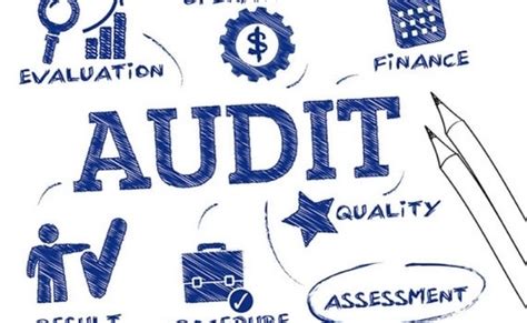 Audit Types 的图像结果
