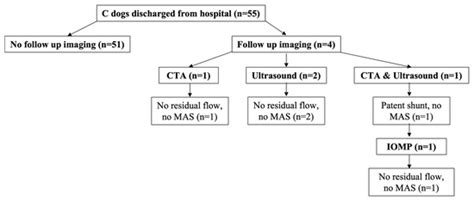 Veterinary Sciences | July 2023 - Browse Articles
