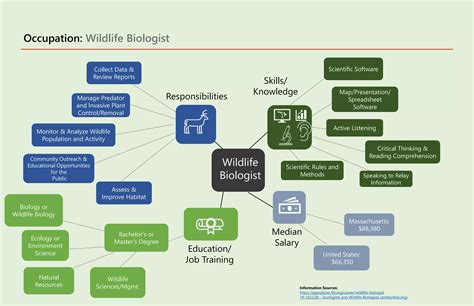 Career Mind Map Example- Wildlife Biologist and other templates.pptx