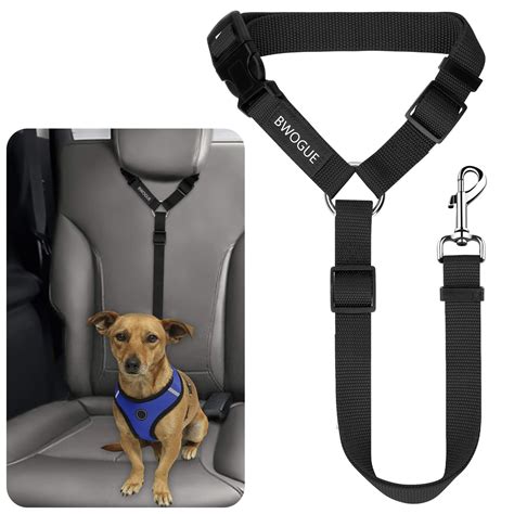 Car seat belt for dogs online