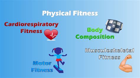 Physical Fitness Assessment | PhD Research