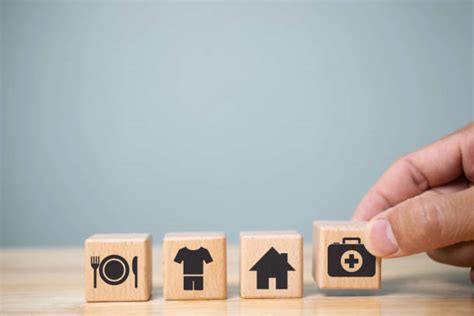 Image result for Satifying Basic Need