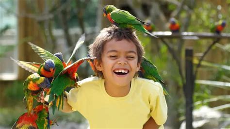 Local Zoos & the Best Zoos Near Me | Attractions Near Me