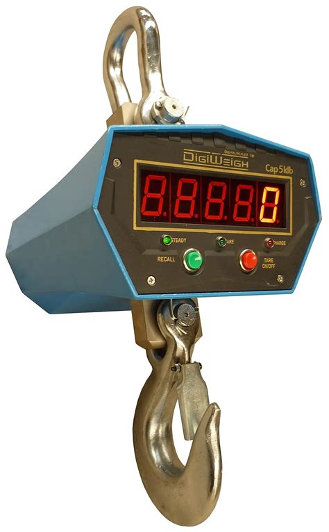 Digiweigh Crane Scales (DWP-5000C2X) : Amazon.in: Office Products