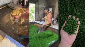 'Yuck! That Green Chemical': Netizens React To Viral Video Showing Man ...