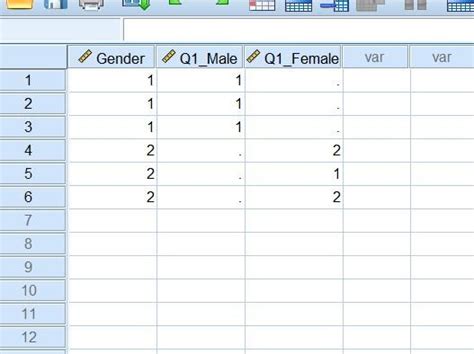 Image result for Merge 2 Variables SPSS