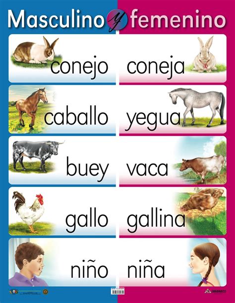 AE-C332 Masculino y femenino en 2021 | Afiches, Lectura, Ciencias naturales