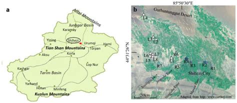 Origin of Smectite in Salinized Soil of Junggar Basin in Xinjiang of China