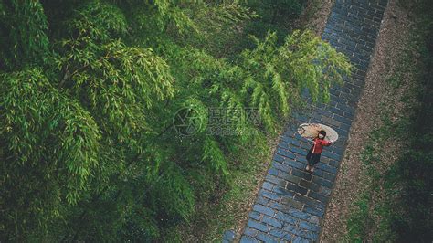 风吹竹林的声音拟声词,形容竹子被风吹的声音,竹林的声音怎么形容_大山谷图库