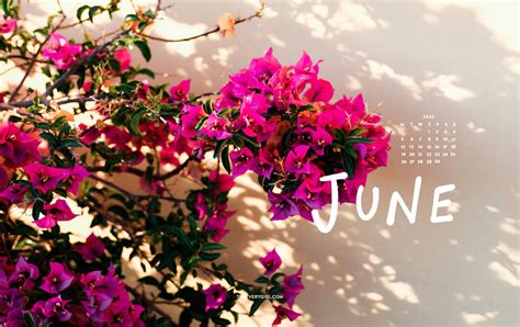 Free, Downloadable Tech Backgrounds for June 2023!